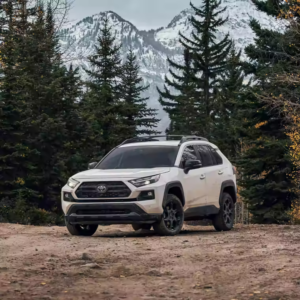 2022 TOYOTA RAV4