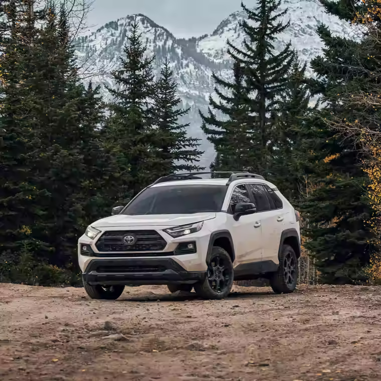 2022 TOYOTA RAV4 2022 TOYOTA RAV4